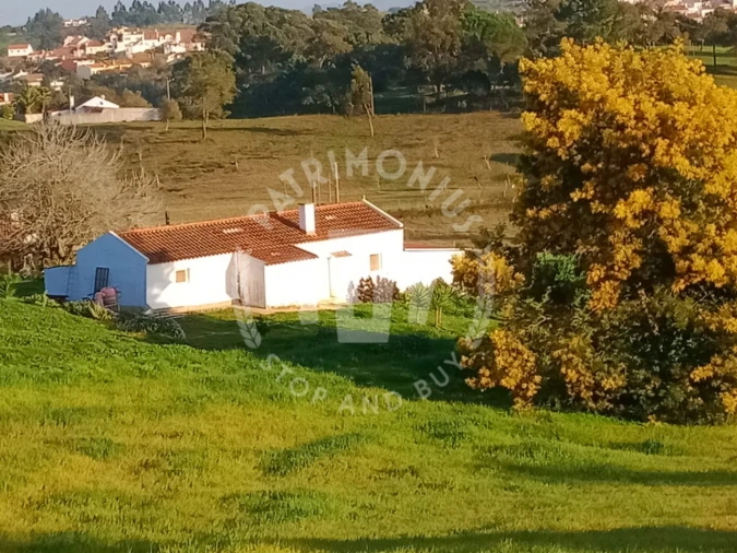 Quinta T3 para Venda em Cercal Foto 5