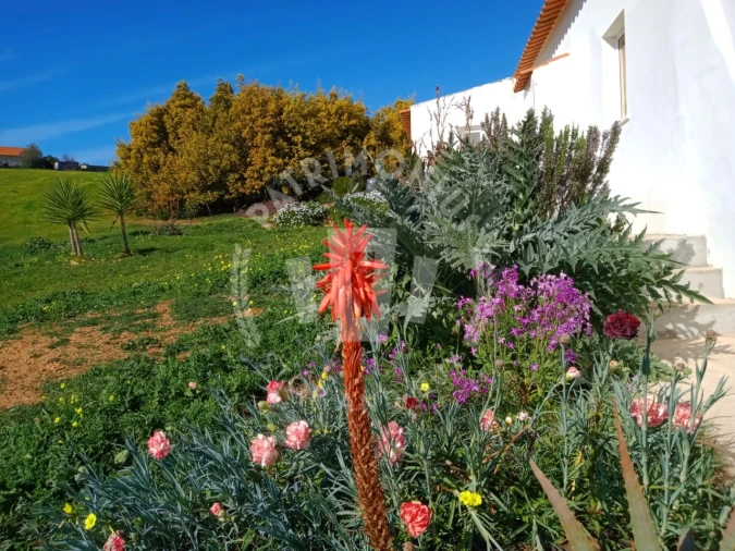 Quinta T3 para Venda em Cercal Foto 13