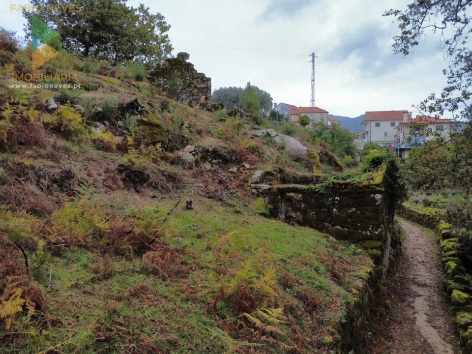 Terreno para Venda em Soajo Foto 12