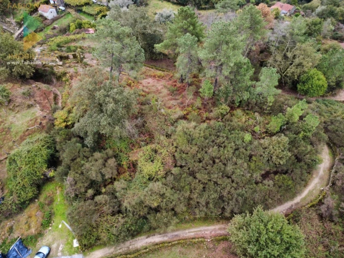 Terreno para Venda em Soajo Foto 8