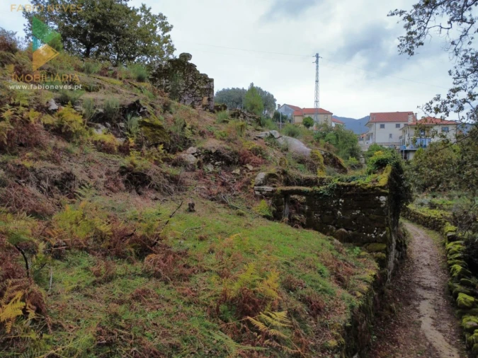 Terreno para Venda em Soajo Foto 12