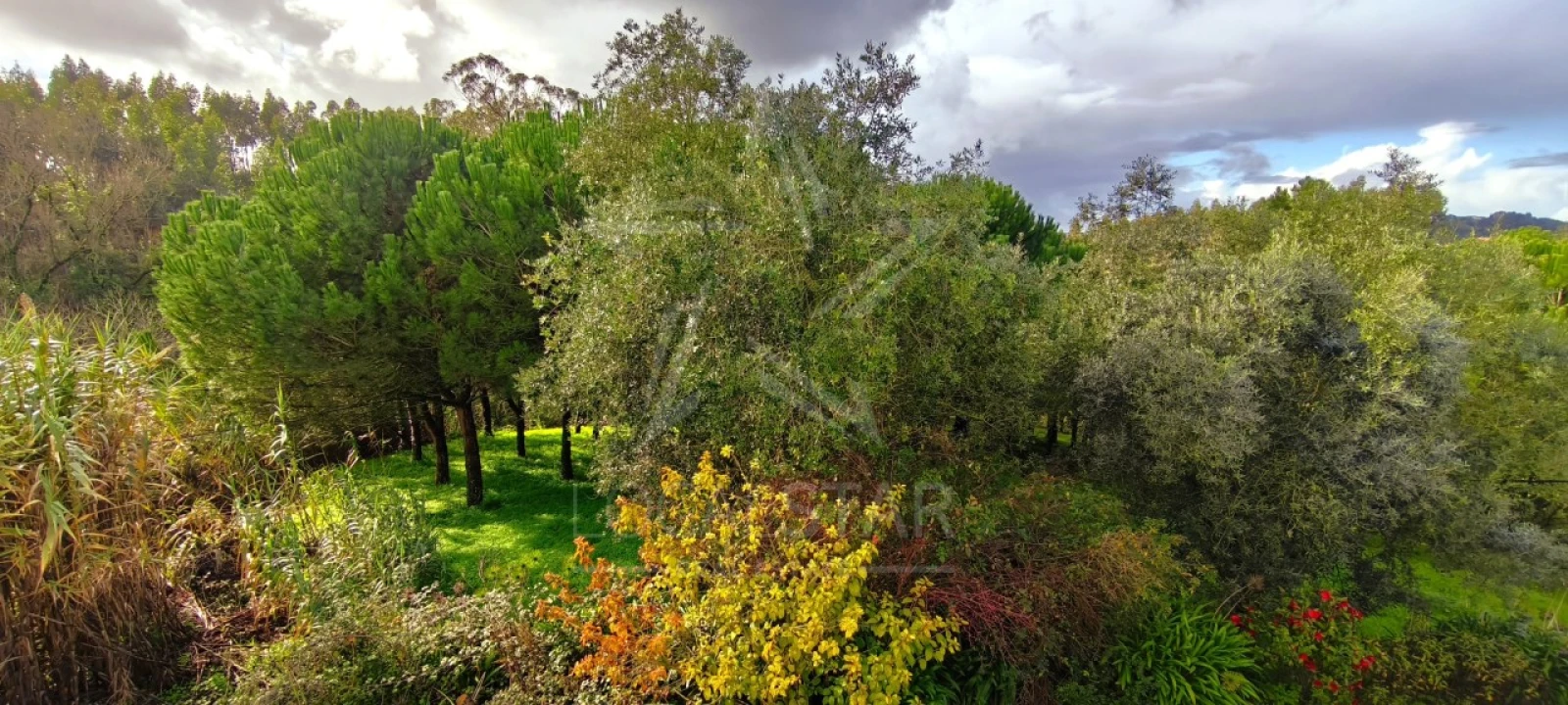 Moradia T3 para Venda em Vidais Foto 41