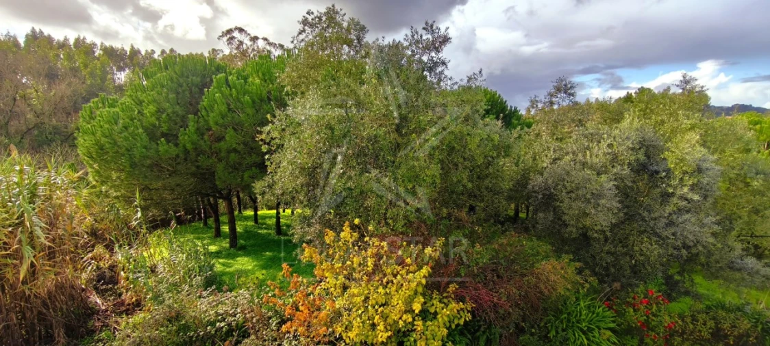 Moradia T3 para Venda em Vidais Foto 41