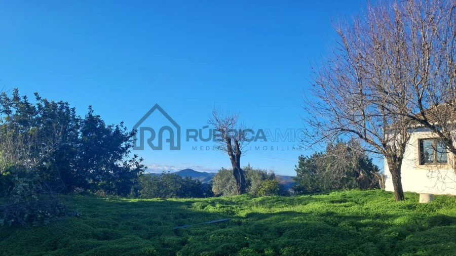 Moradia para Venda em Querença, Tôr e Benafim Foto 7