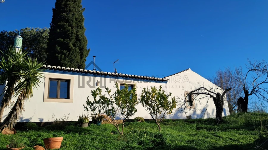 Moradia para Venda em Querença, Tôr e Benafim Foto 19