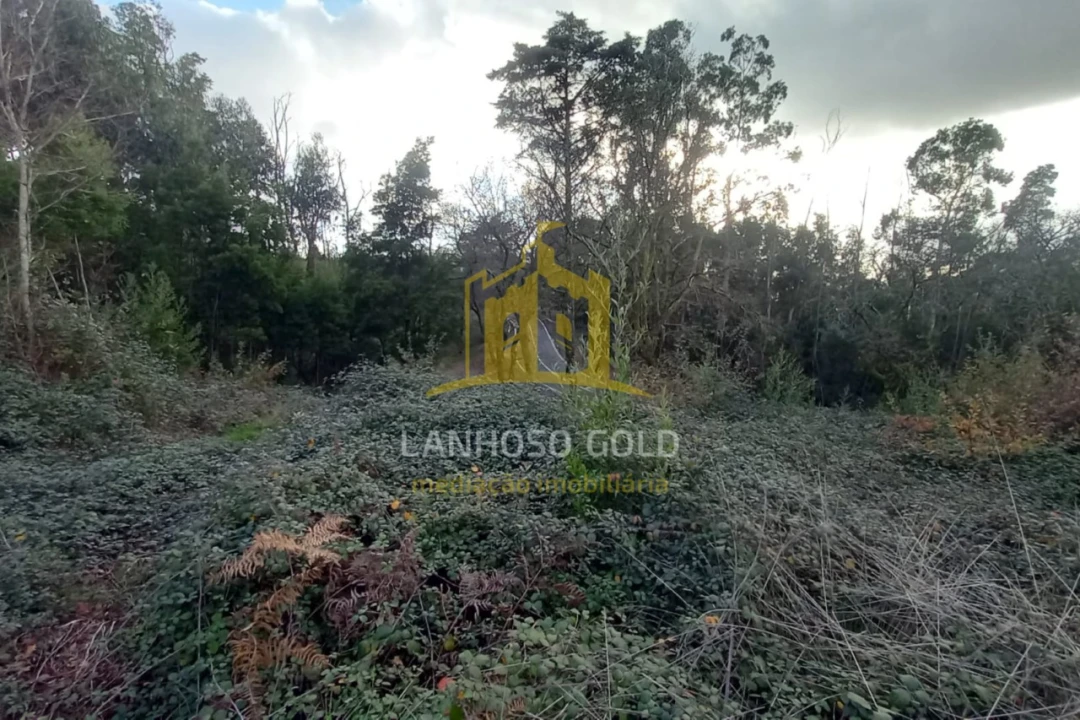 Terreno para Venda em Nogueiró e Tenões Foto 1