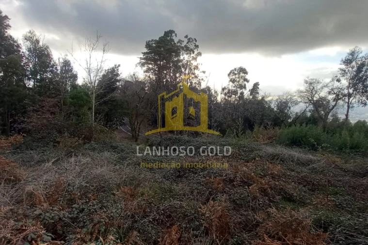 Terreno para Venda em Nogueiró e Tenões Foto 2