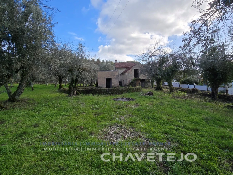 Moradia T3 para Venda em Areias e Pias Foto 41