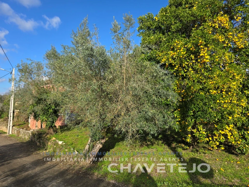 Moradia T3 para Venda em Areias e Pias Foto 53