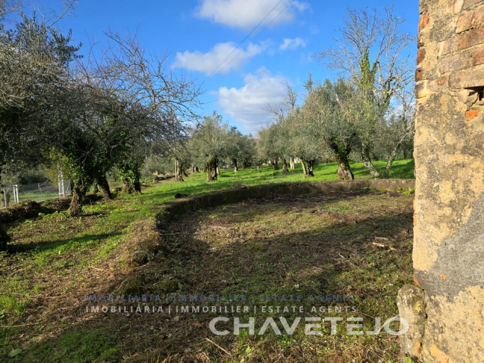 Moradia T3 para Venda em Areias e Pias Foto 59
