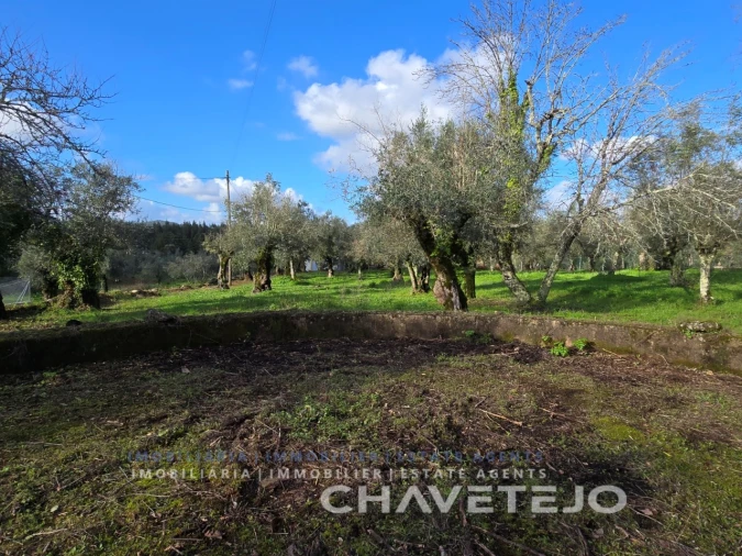 Moradia T3 para Venda em Areias e Pias Foto 39