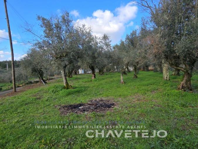 Moradia T3 para Venda em Areias e Pias Foto 40