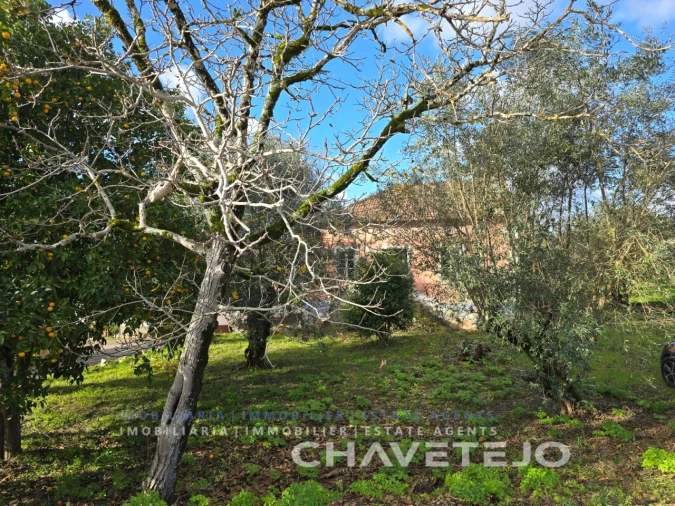 Moradia T3 para Venda em Areias e Pias Foto 55