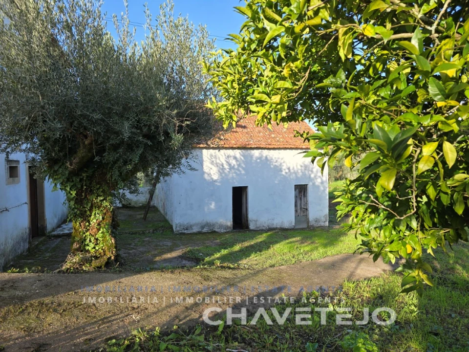 Moradia T3 para Venda em Areias e Pias Foto 28
