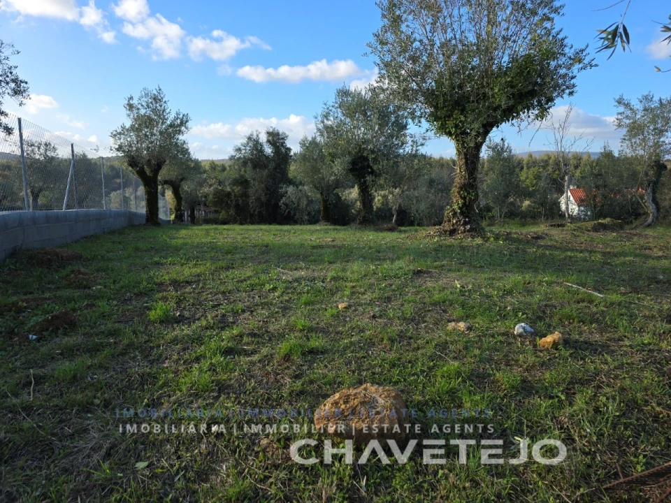 Moradia T3 para Venda em Areias e Pias Foto 30