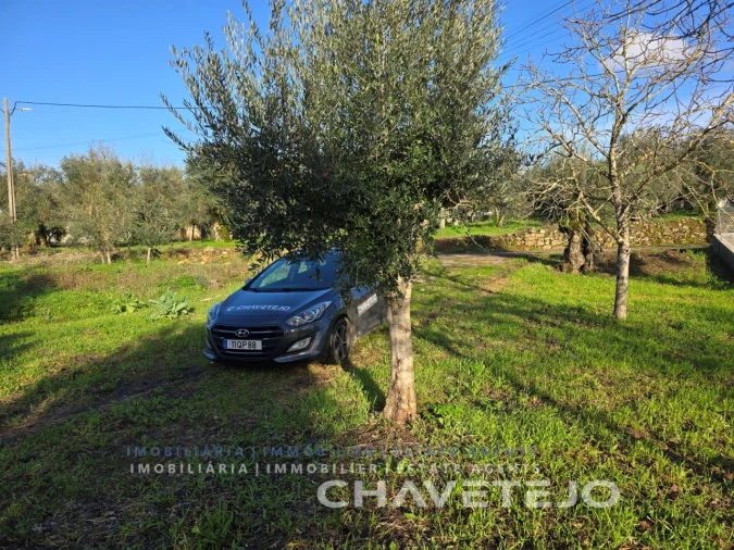 Moradia T3 para Venda em Areias e Pias Foto 27