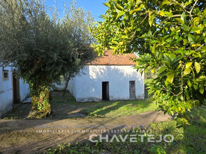 Moradia T3 para Venda em Areias e Pias Foto 28