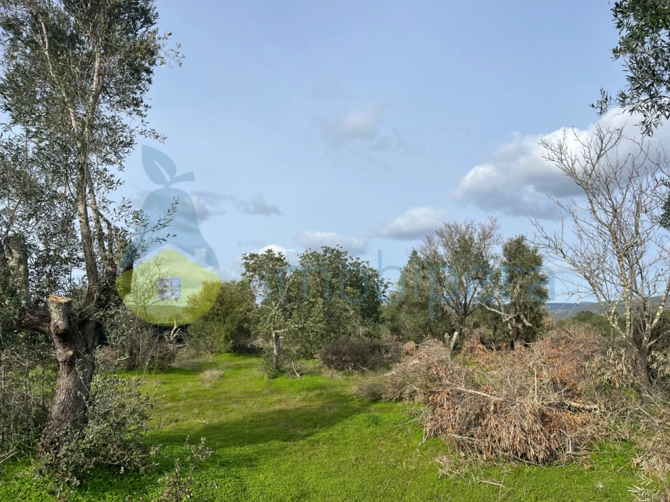 Terreno Agricola ou Rústico para Venda em Paderne Foto 2