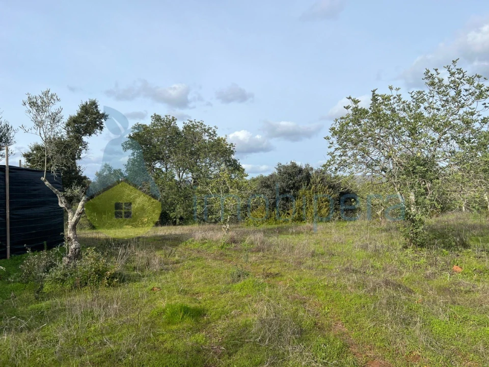 Terreno Agricola ou Rústico para Venda em Paderne Foto 4