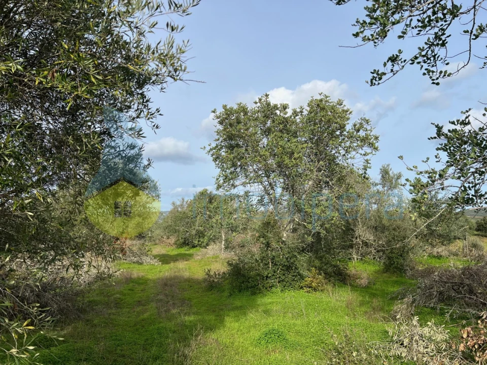Terreno Agricola ou Rústico para Venda em Paderne Foto 11