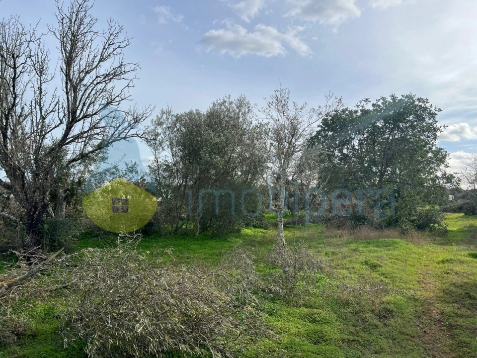 Terreno Agricola ou Rústico para Venda em Paderne Foto 15