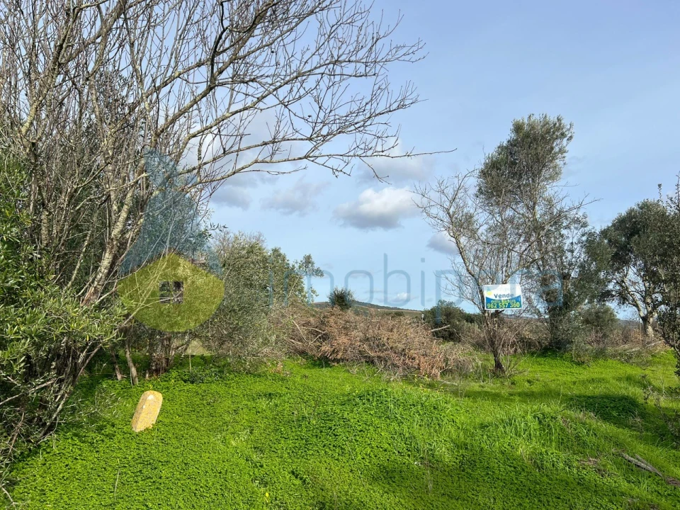 Terreno Agricola ou Rústico para Venda em Paderne Foto 21