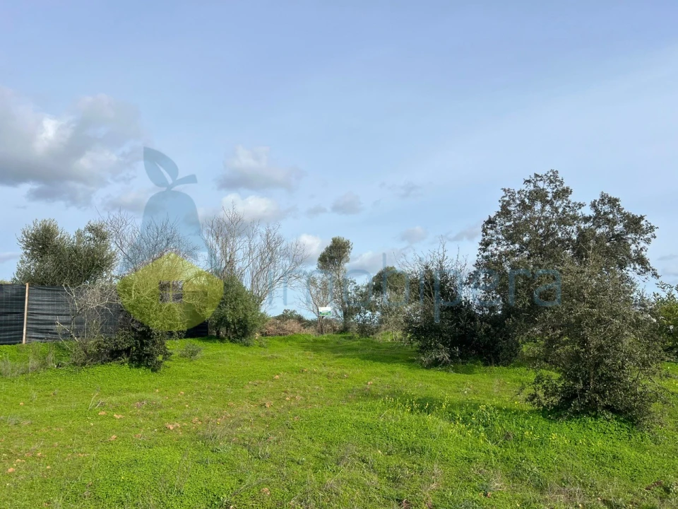 Terreno Agricola ou Rústico para Venda em Paderne Foto 22