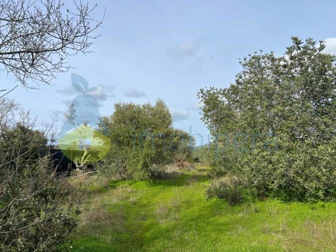 Terreno Agricola ou Rústico para Venda em Paderne Foto 5
