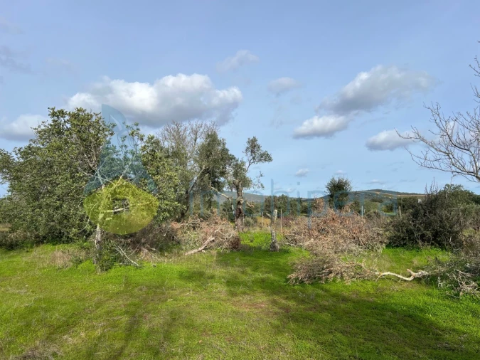 Terreno Agricola ou Rústico para Venda em Paderne Foto 8