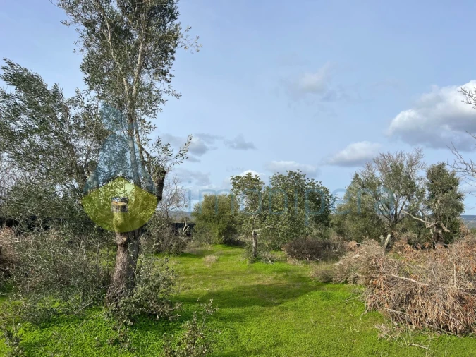 Terreno Agricola ou Rústico para Venda em Paderne Foto 9