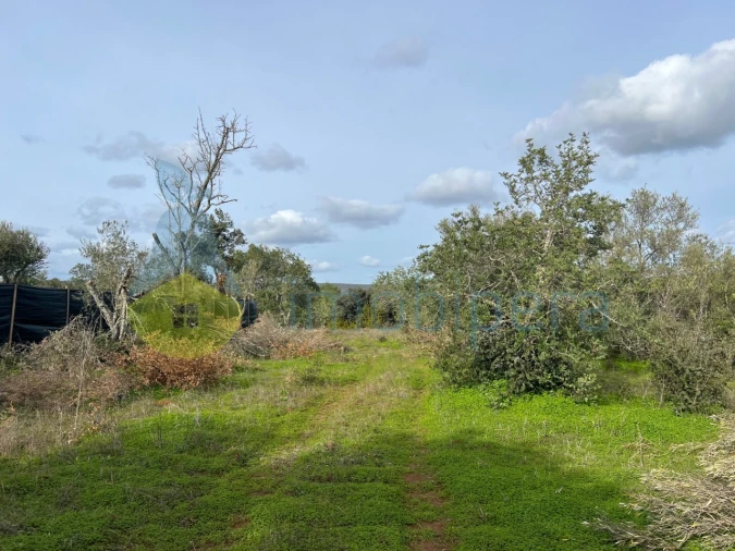 Terreno Agricola ou Rústico para Venda em Paderne Foto 13