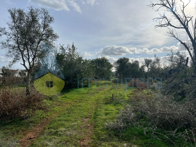 Terreno Agricola ou Rústico para Venda em Paderne Foto 16