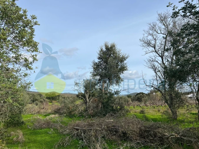 Terreno Agricola ou Rústico para Venda em Paderne Foto 18