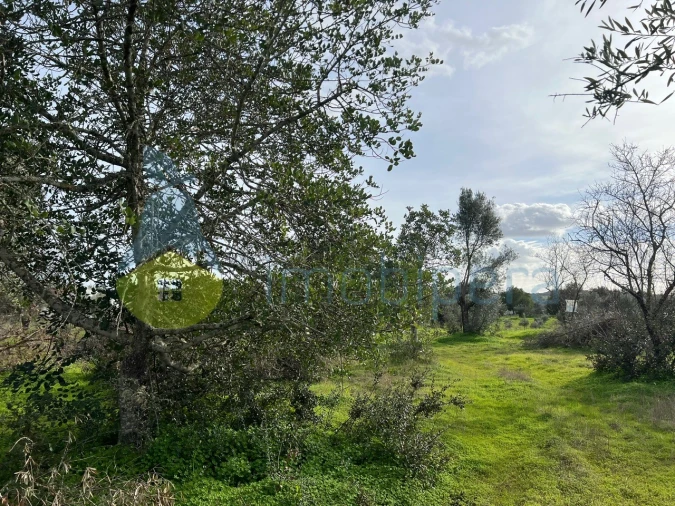 Terreno Agricola ou Rústico para Venda em Paderne Foto 19