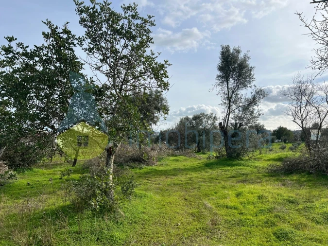 Terreno Agricola ou Rústico para Venda em Paderne Foto 20