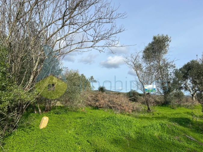 Terreno Agricola ou Rústico para Venda em Paderne Foto 21