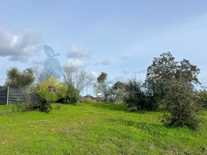 Terreno Agricola ou Rústico para Venda em Paderne Foto 22