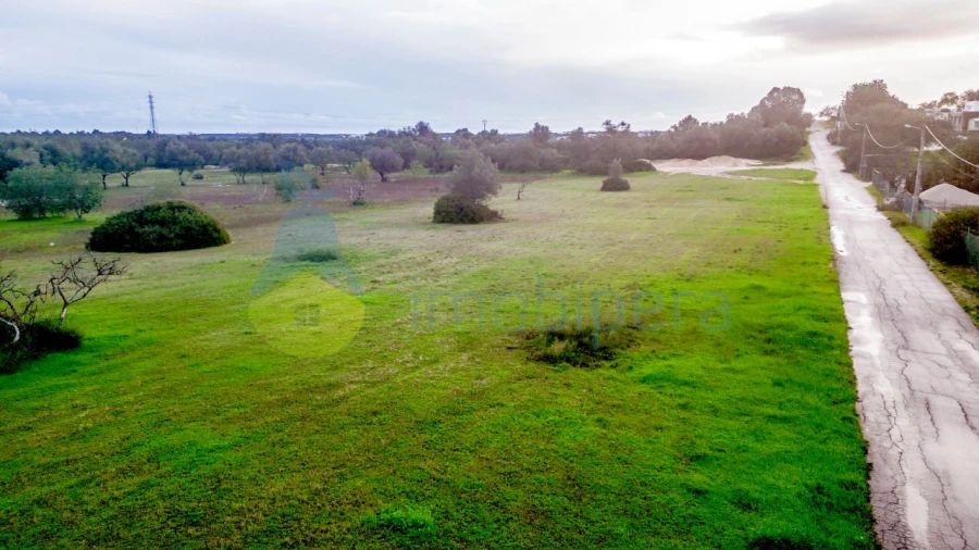 Terreno Agricola ou Rústico para Venda em Boliqueime Foto 2