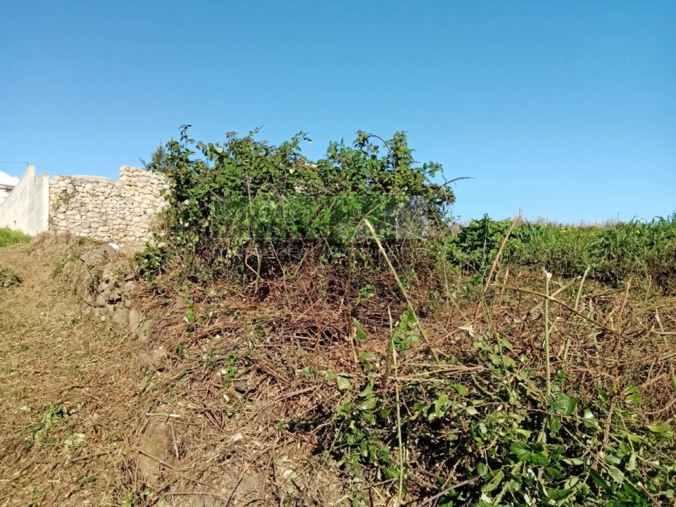Terreno para Venda em São João das Lampas e Terrugem Foto 6