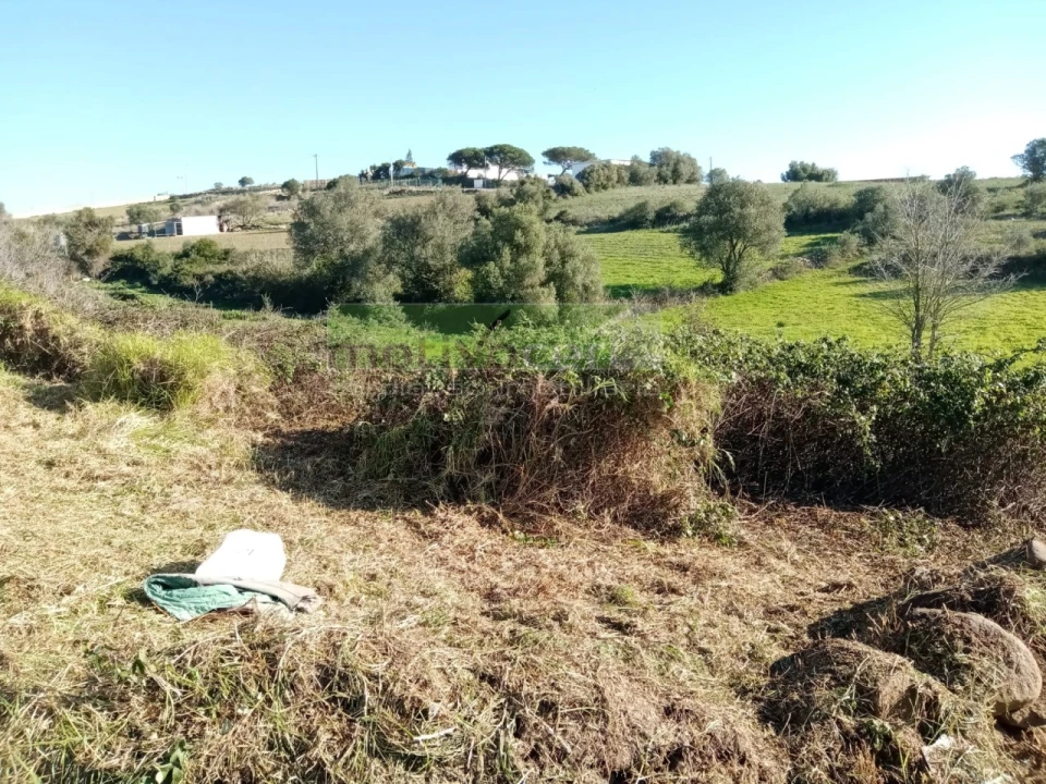 Terreno para Venda em São João das Lampas e Terrugem Foto 4
