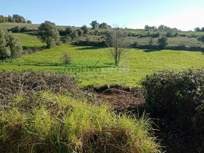 Terreno para Venda em São João das Lampas e Terrugem Foto 3