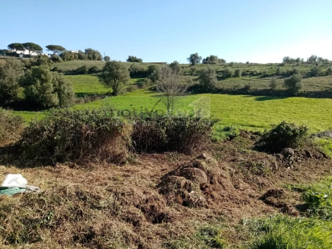 Terreno para Venda em São João das Lampas e Terrugem Foto 8