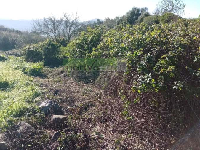 Terreno para Venda em São João das Lampas e Terrugem Foto 9