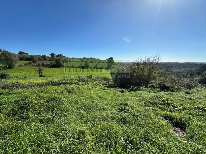 Terreno para Venda em São João das Lampas e Terrugem Foto 1