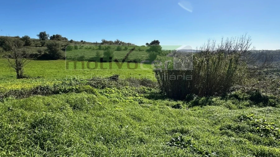 Terreno Agricola ou Rústico para Venda em São João das Lampas e Terrugem
