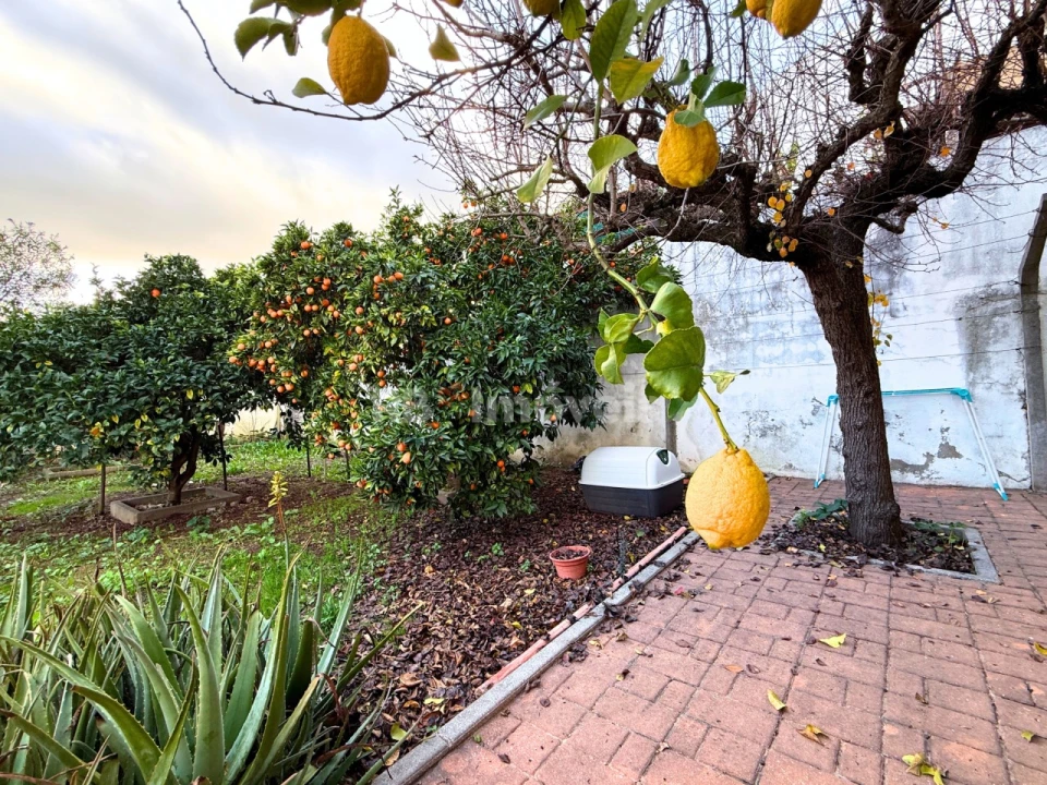 Moradia T2 para Venda em Nossa Sra de Fatima Foto 60