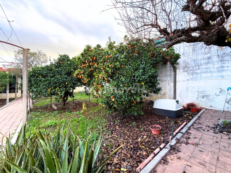 Moradia T2 para Venda em Nossa Sra de Fatima Foto 61