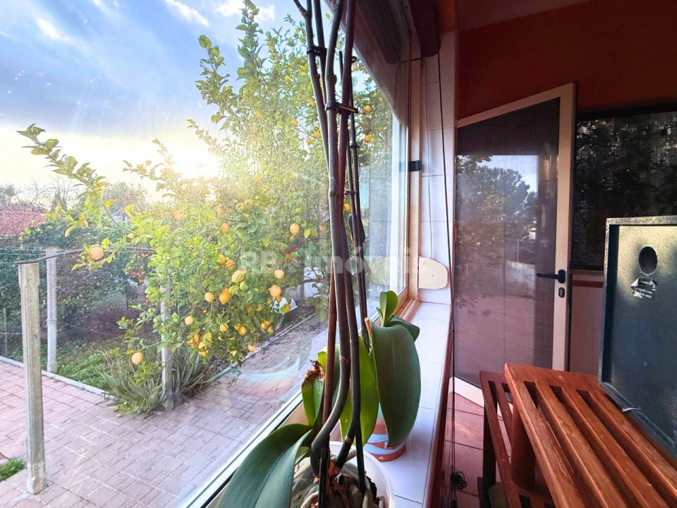 Moradia T2 para Venda em Nossa Sra de Fatima Foto 62