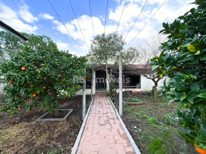 Moradia T2 para Venda em Nossa Sra de Fatima Foto 58