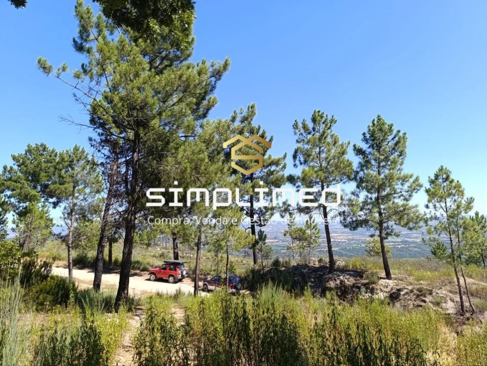 Terreno para Venda em Orjais Foto 15